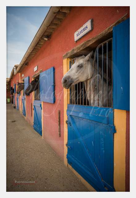 D8E_1181 AMBIANCE © by A-la-Vie.com