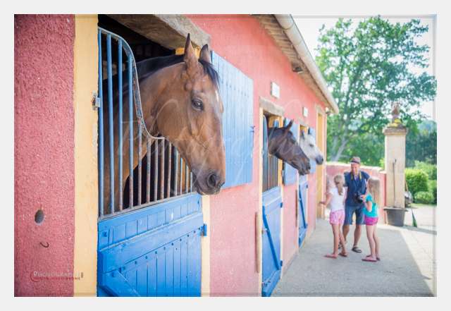 D6019664 AMBIANCE © by A-la-Vie.com