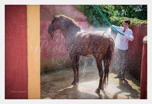 D6019672 AMBIANCE © by A-la-Vie.com