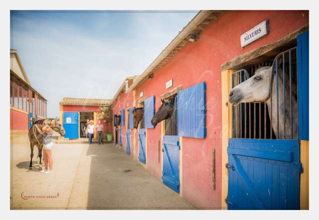 D6019678 AMBIANCE © by A-la-Vie.com