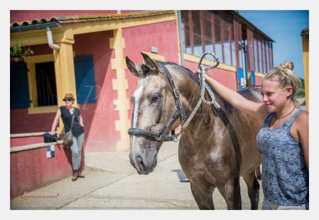 D6019683 AMBIANCE © by A-la-Vie.com