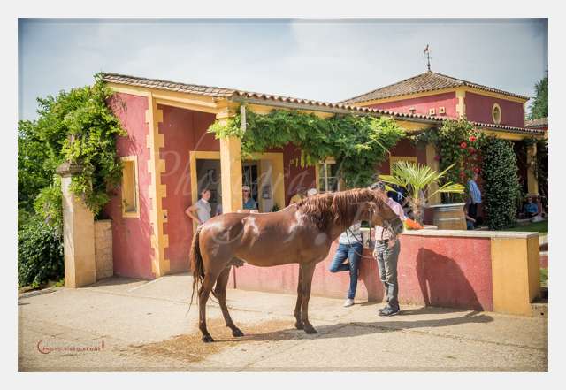 D6019689 AMBIANCE © by A-la-Vie.com