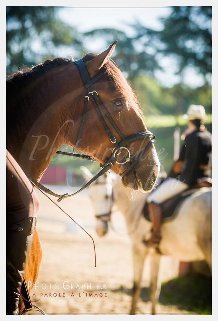 © by Photographie.Pro