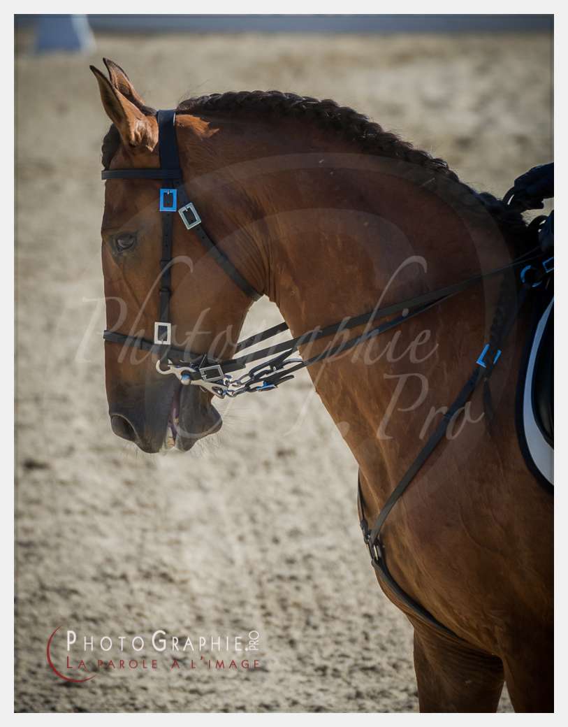 © by Photographie.Pro