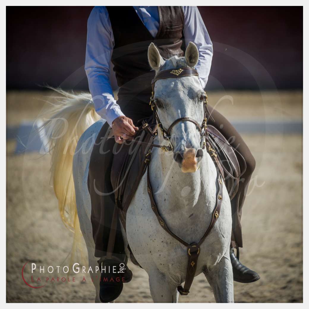 © by Photographie.Pro
