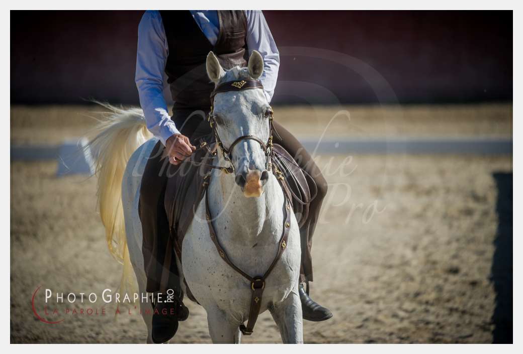 © by Photographie.Pro