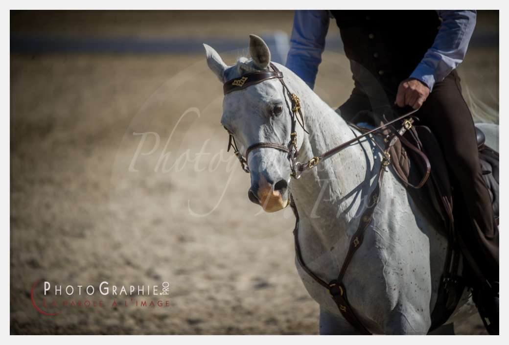© by Photographie.Pro
