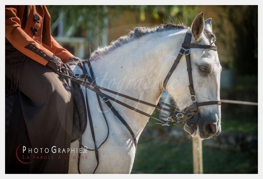 © by Photographie.Pro