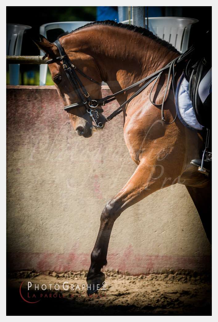© by Photographie.Pro