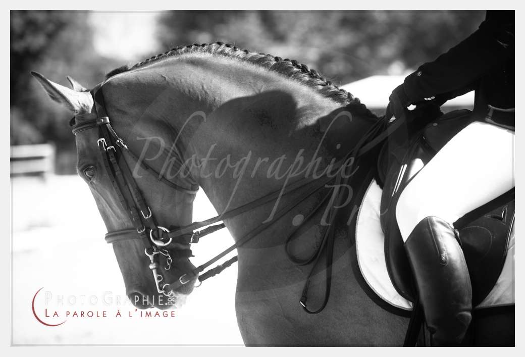 © by Photographie.Pro