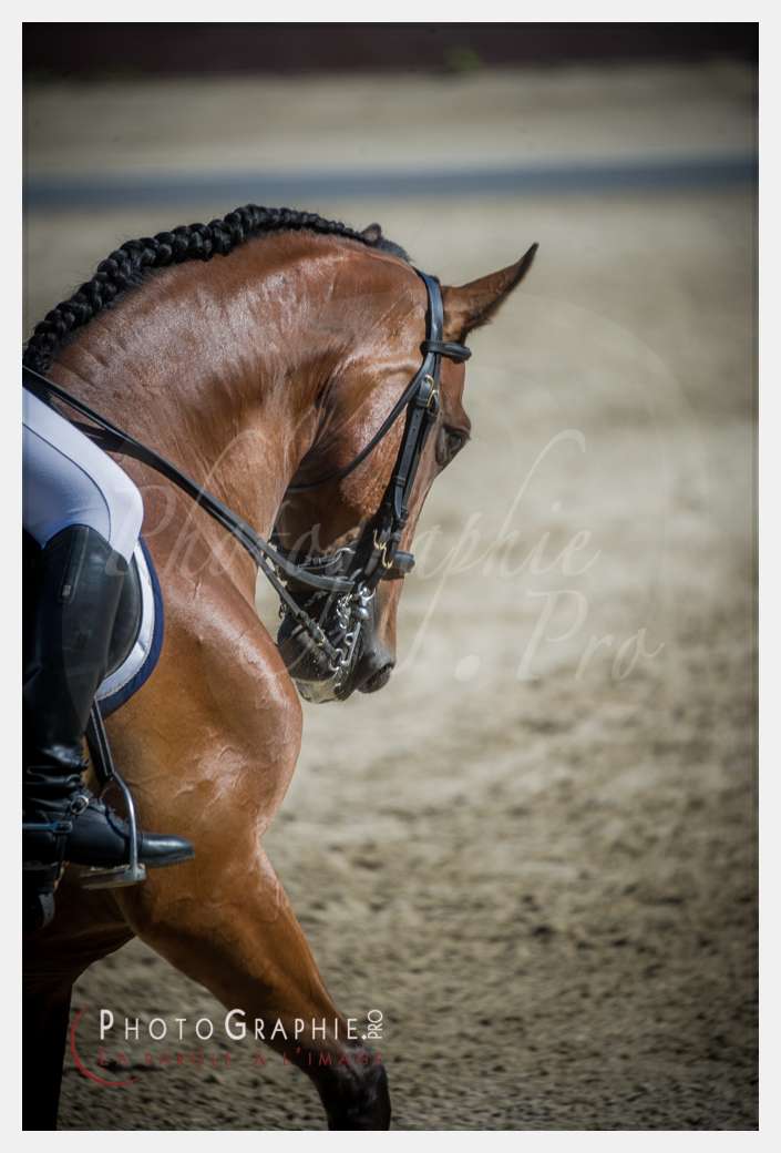 © by Photographie.Pro