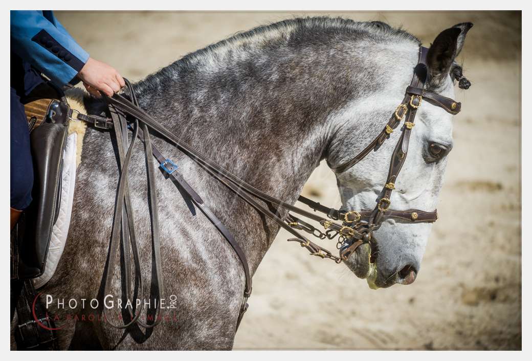 © by Photographie.Pro