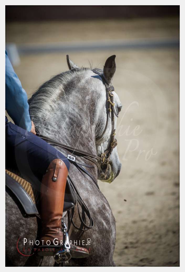© by Photographie.Pro