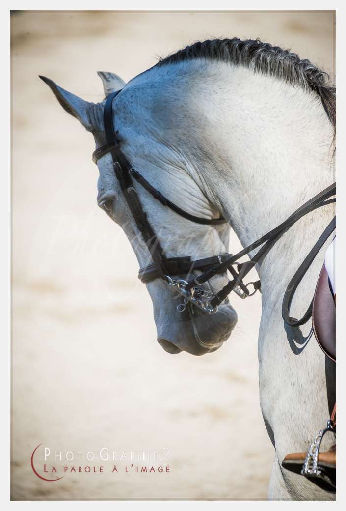 © by Photographie.Pro
