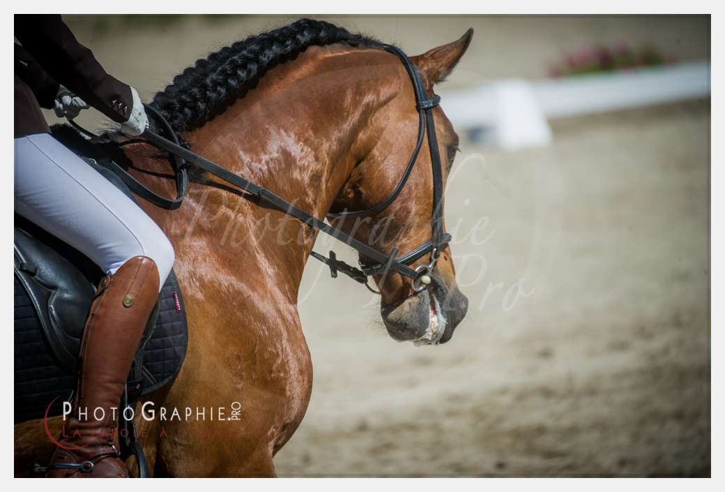 © by Photographie.Pro