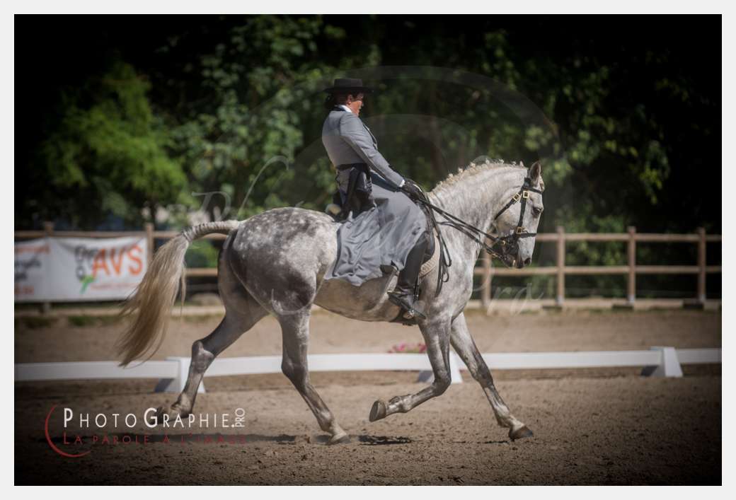 © by Photographie.Pro