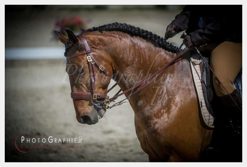 © by Photographie.Pro