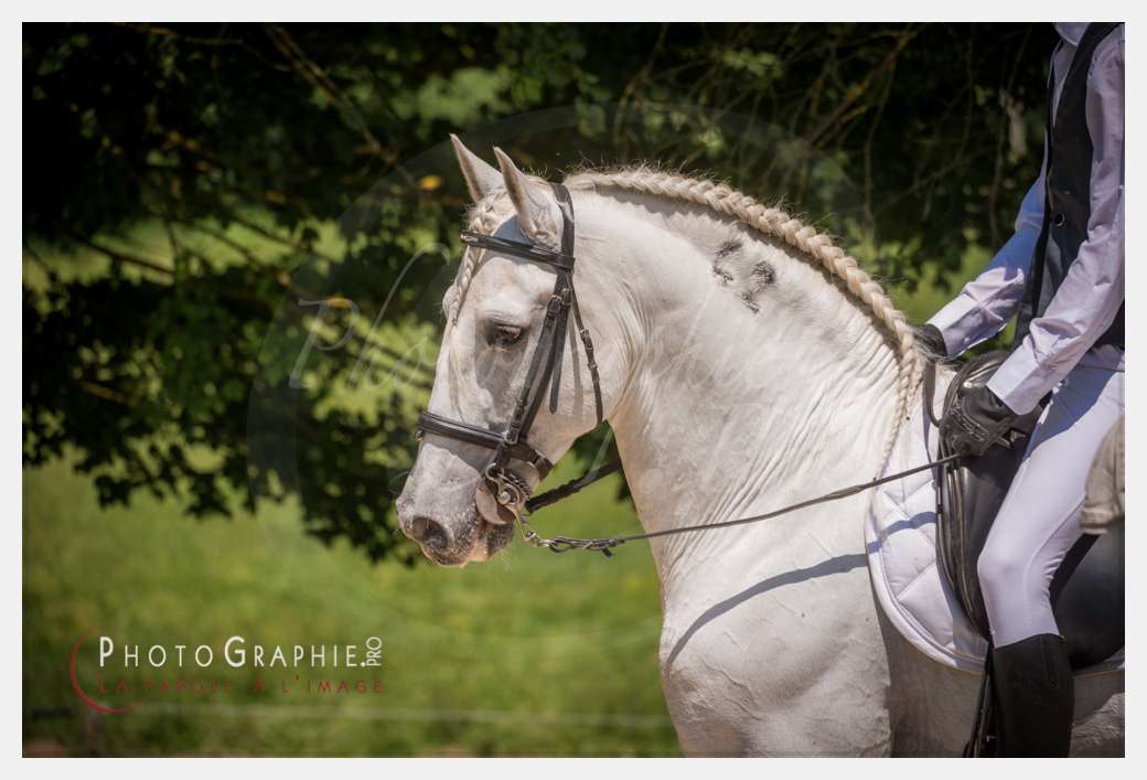© by Photographie.Pro