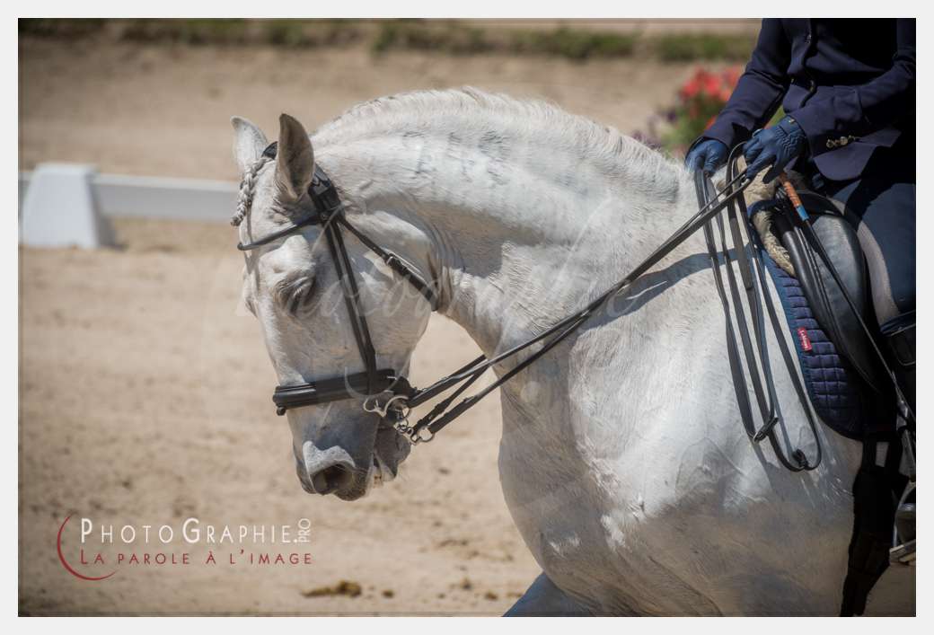 © by Photographie.Pro