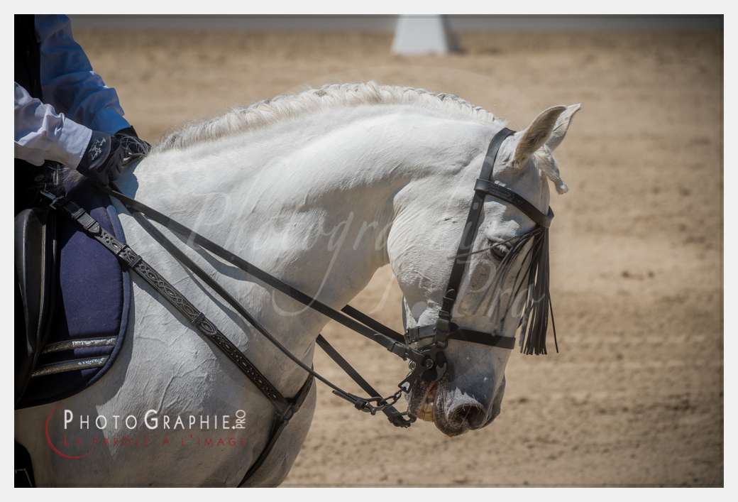© by Photographie.Pro