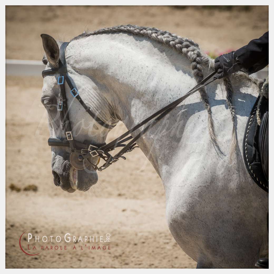 © by Photographie.Pro