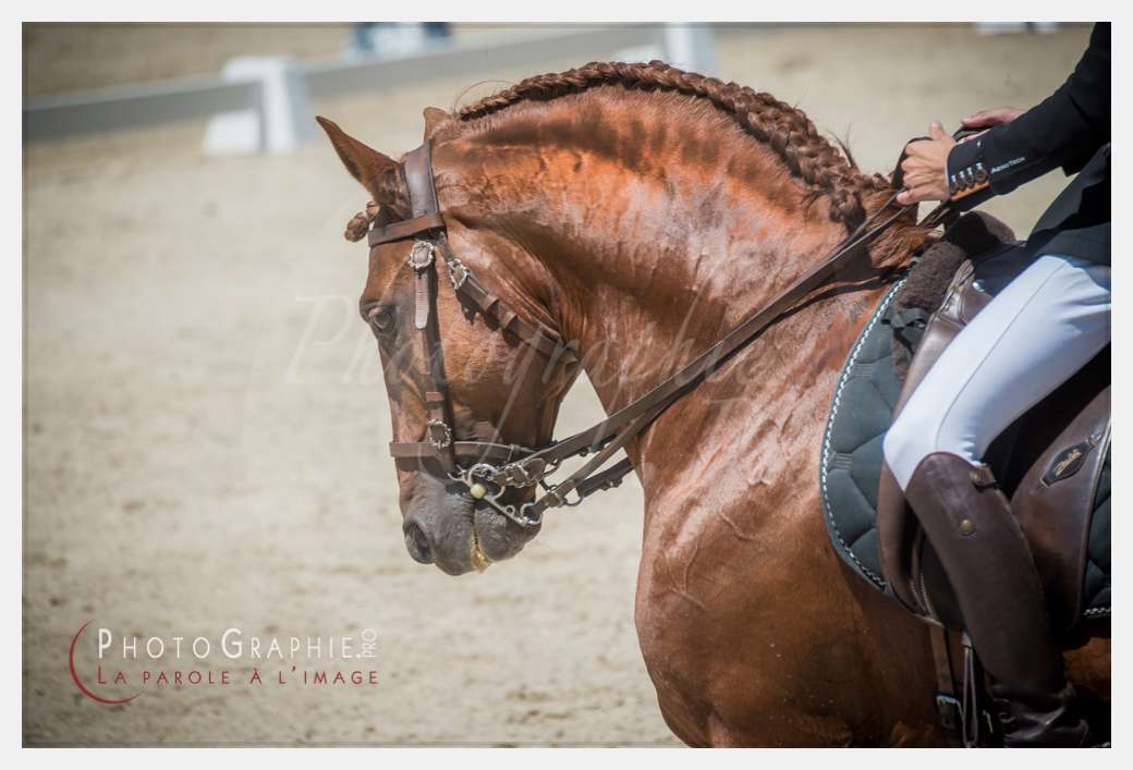 © by Photographie.Pro