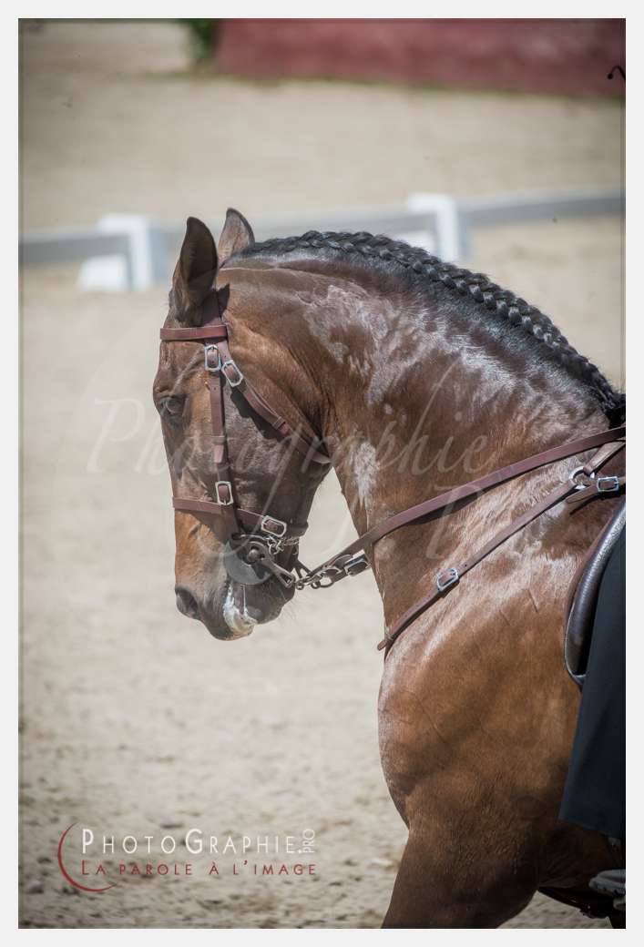 © by Photographie.Pro