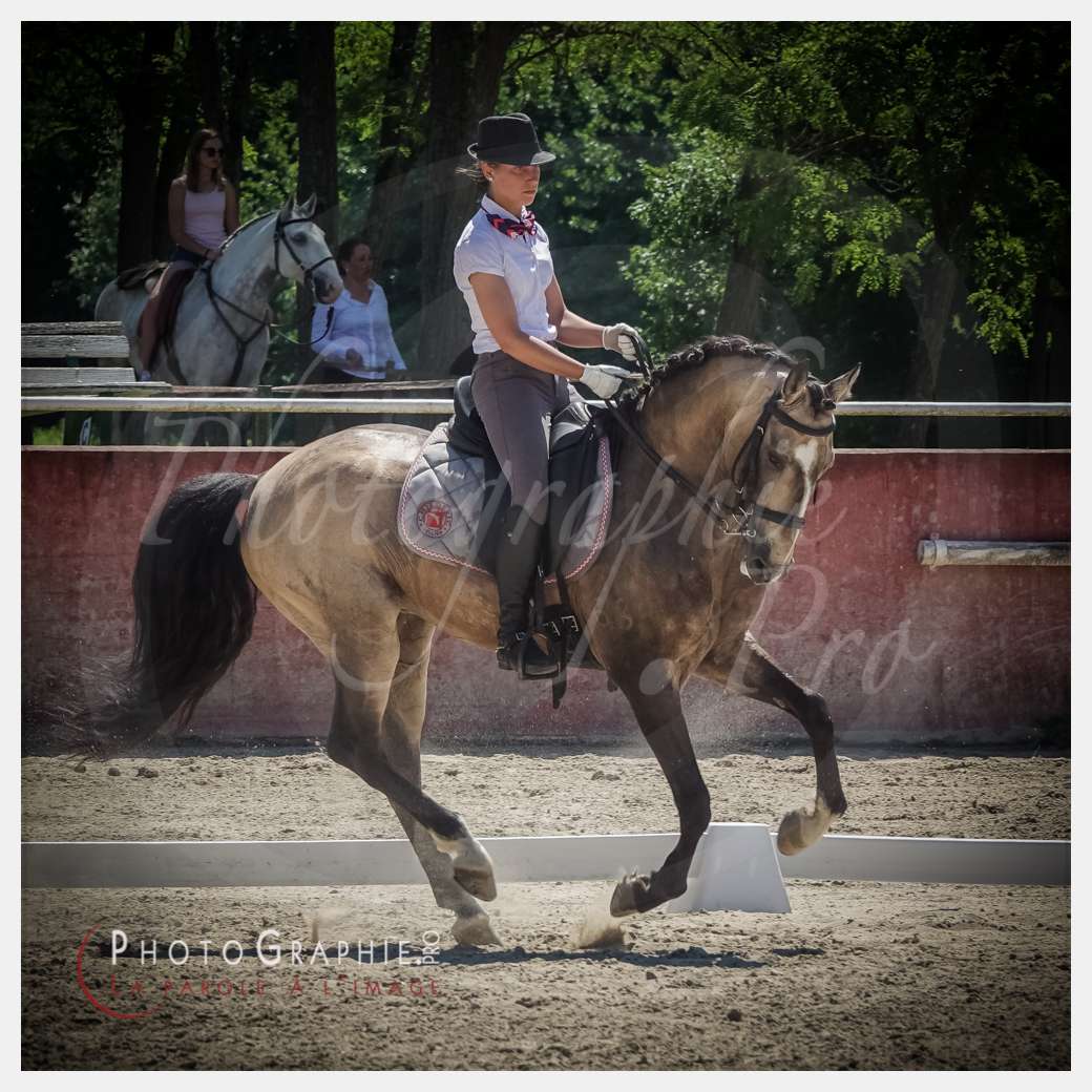 © by Photographie.Pro