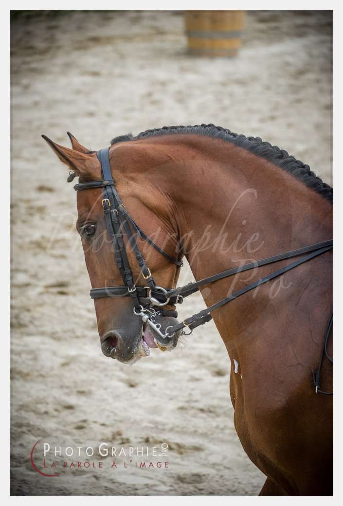 © by Photographie.Pro