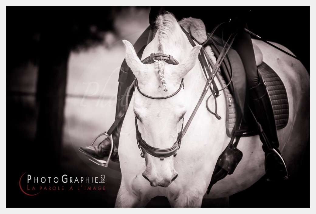 D3s141743 © by Photographie.Pro