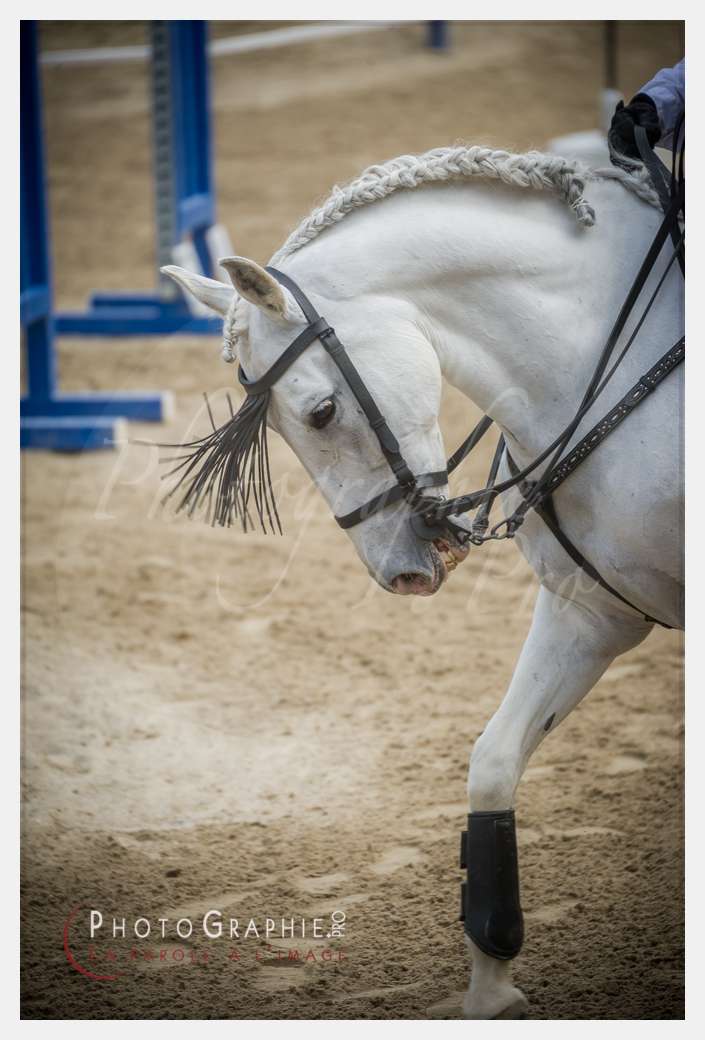 D3s141778 © by Photographie.Pro