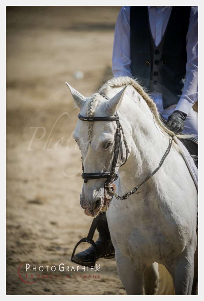 D3s141971 © by Photographie.Pro