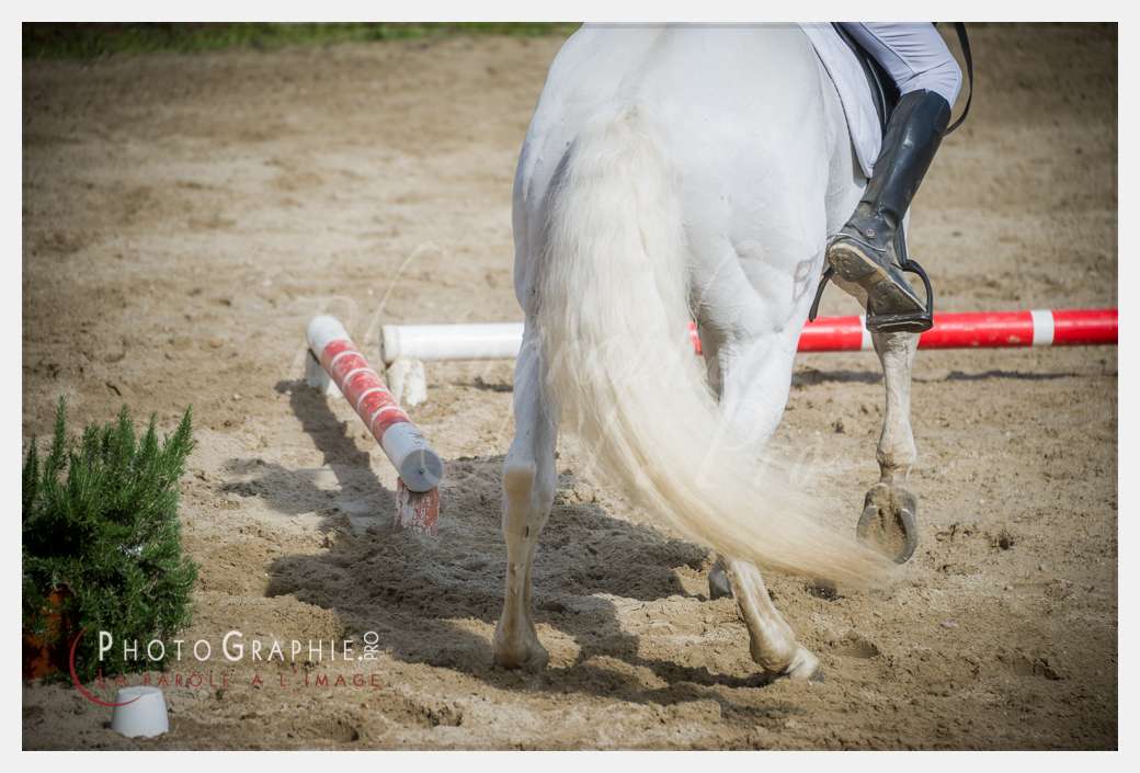 D3s141976 © by Photographie.Pro