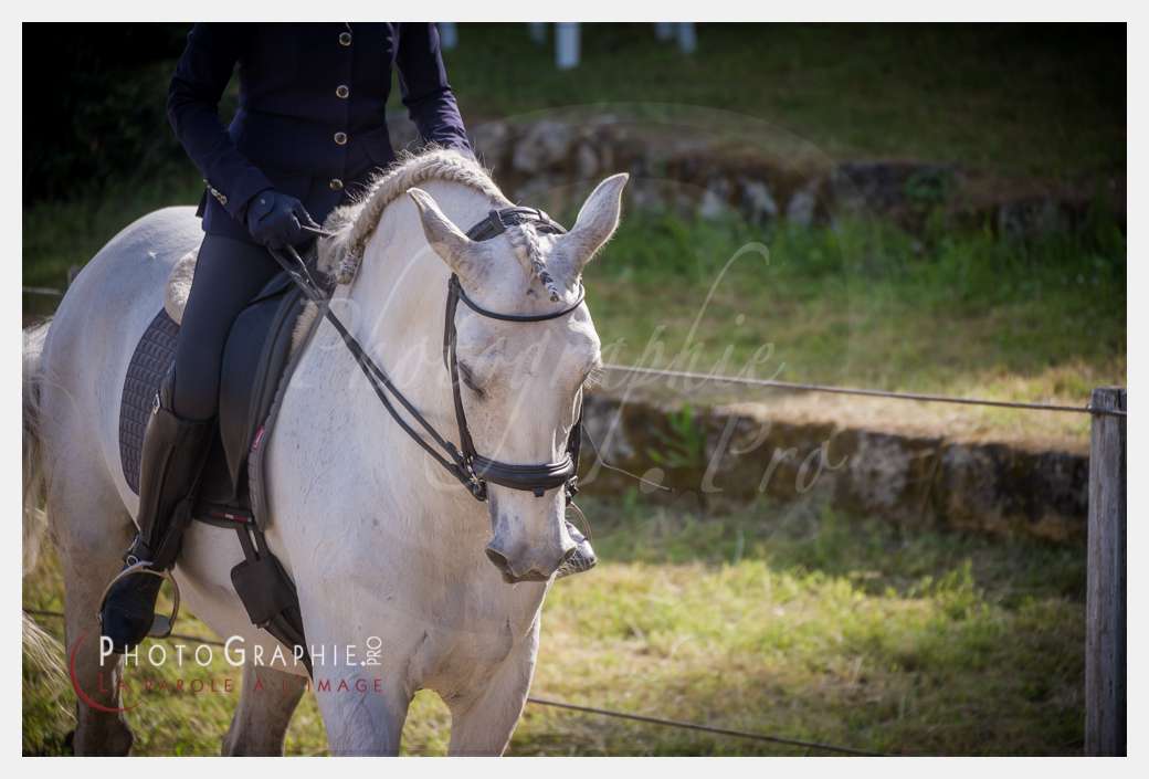 D3s142063 © by Photographie.Pro