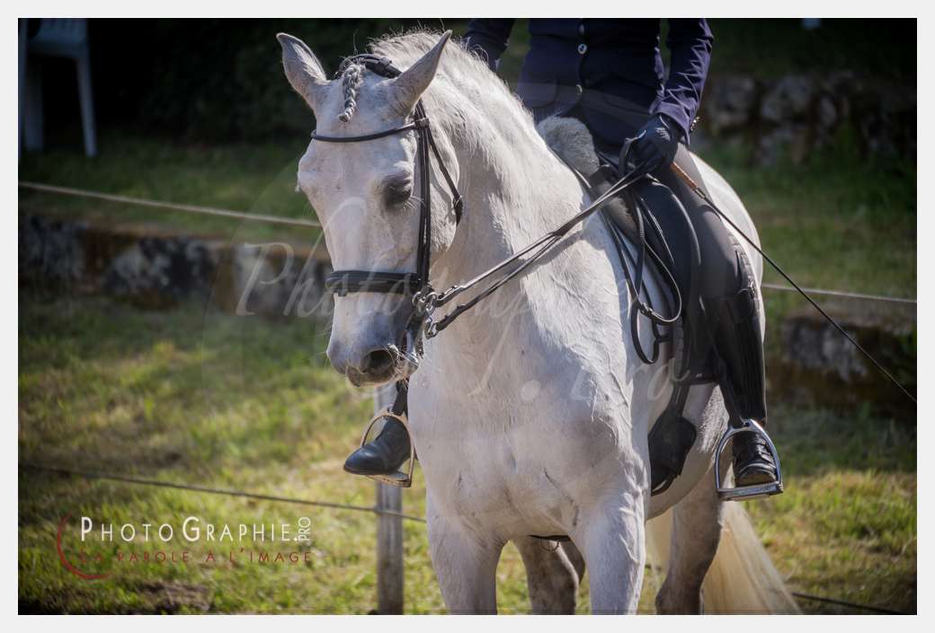D3s142064 © by Photographie.Pro