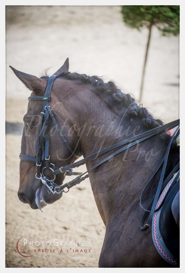 D3s142239 © by Photographie.Pro