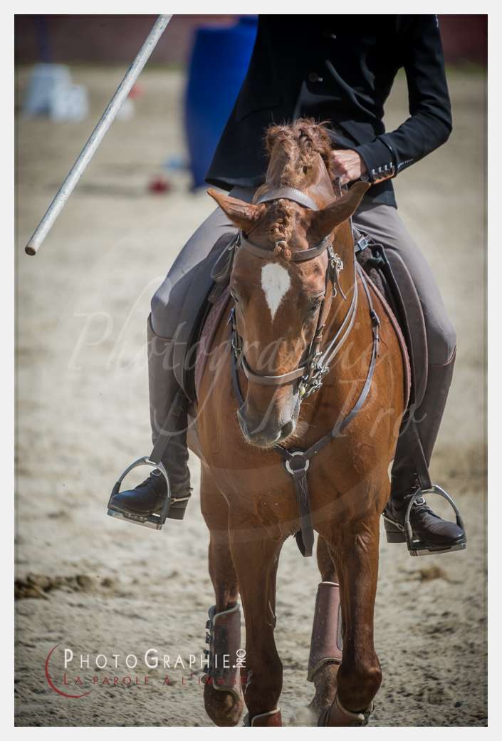 D3s142312 © by Photographie.Pro