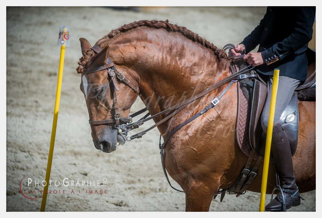 D3s142327 © by Photographie.Pro