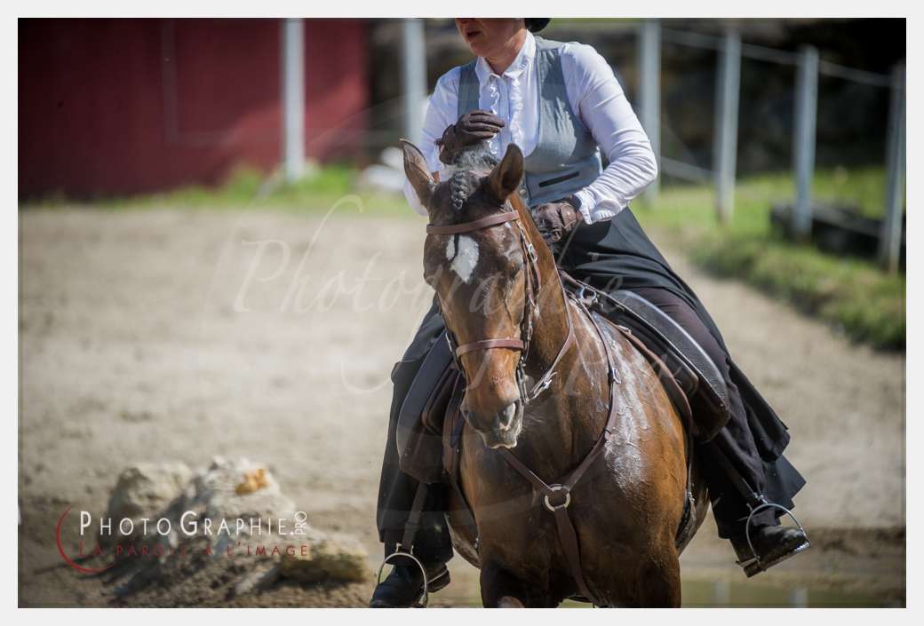 D3s142503 © by Photographie.Pro