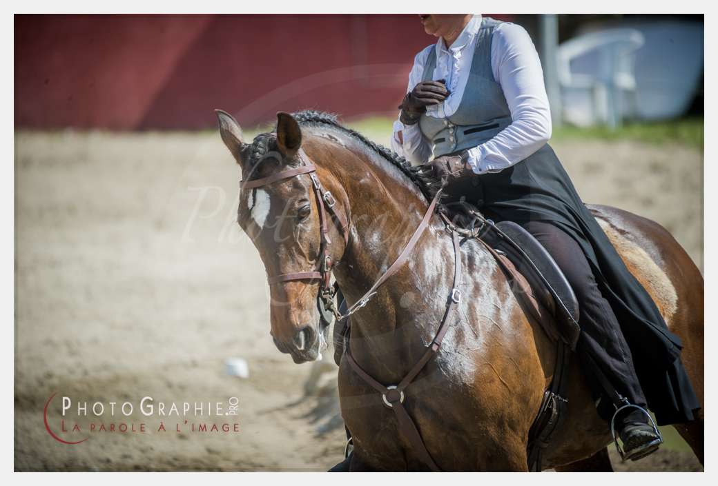 D3s142506 © by Photographie.Pro