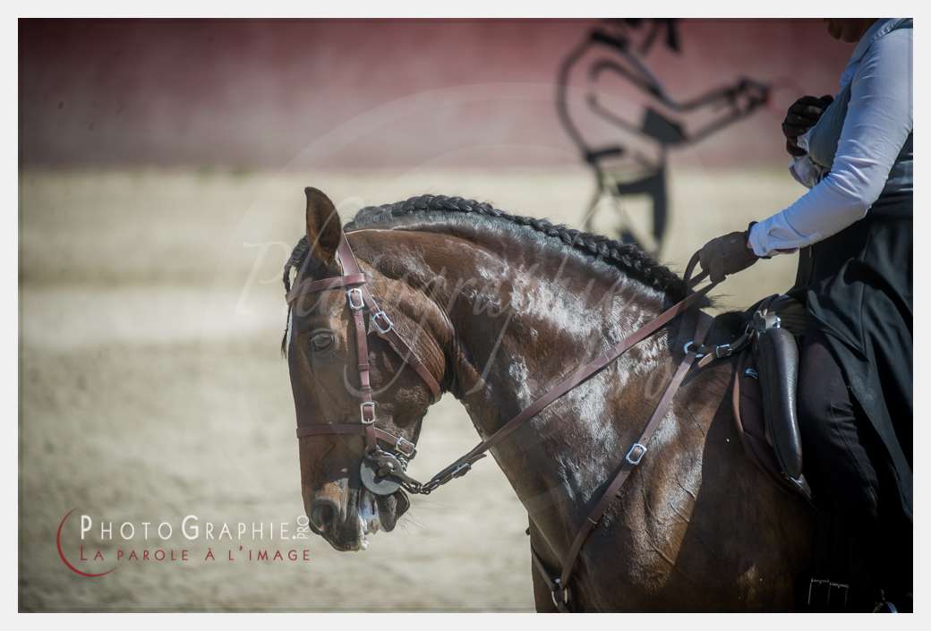 D3s142510 © by Photographie.Pro
