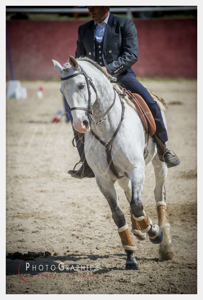 D3s142536 © by Photographie.Pro