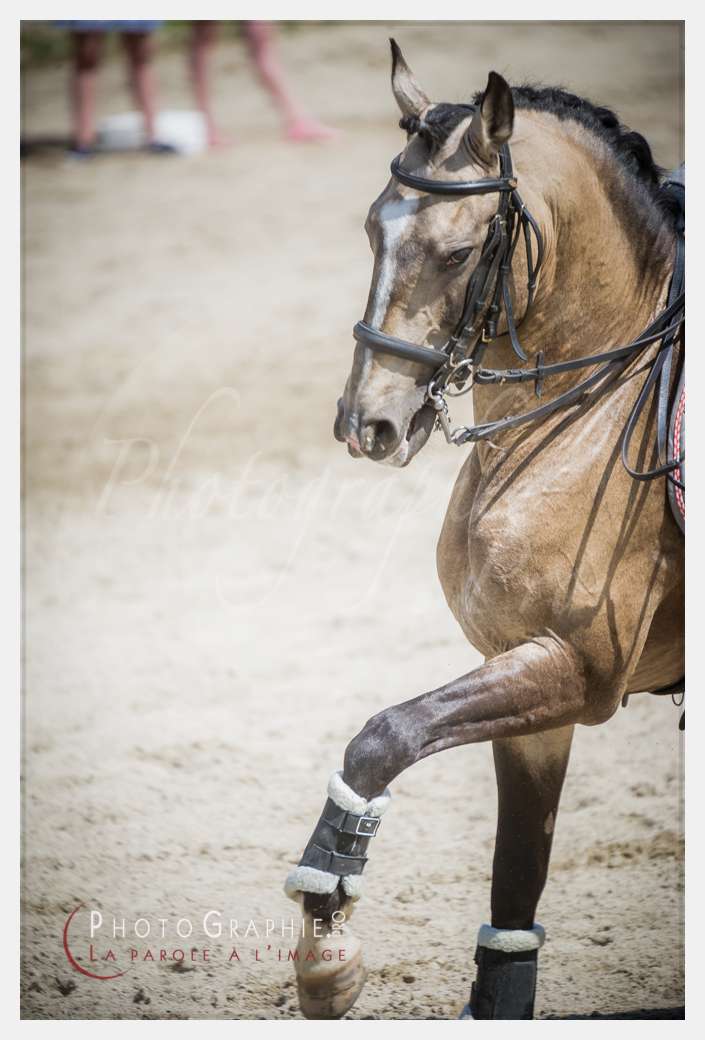 D3s142828 © by Photographie.Pro