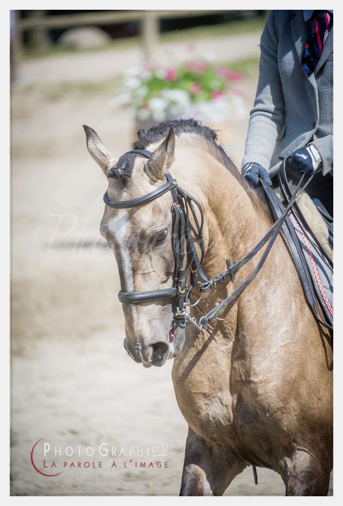 D3s142832 © by Photographie.Pro