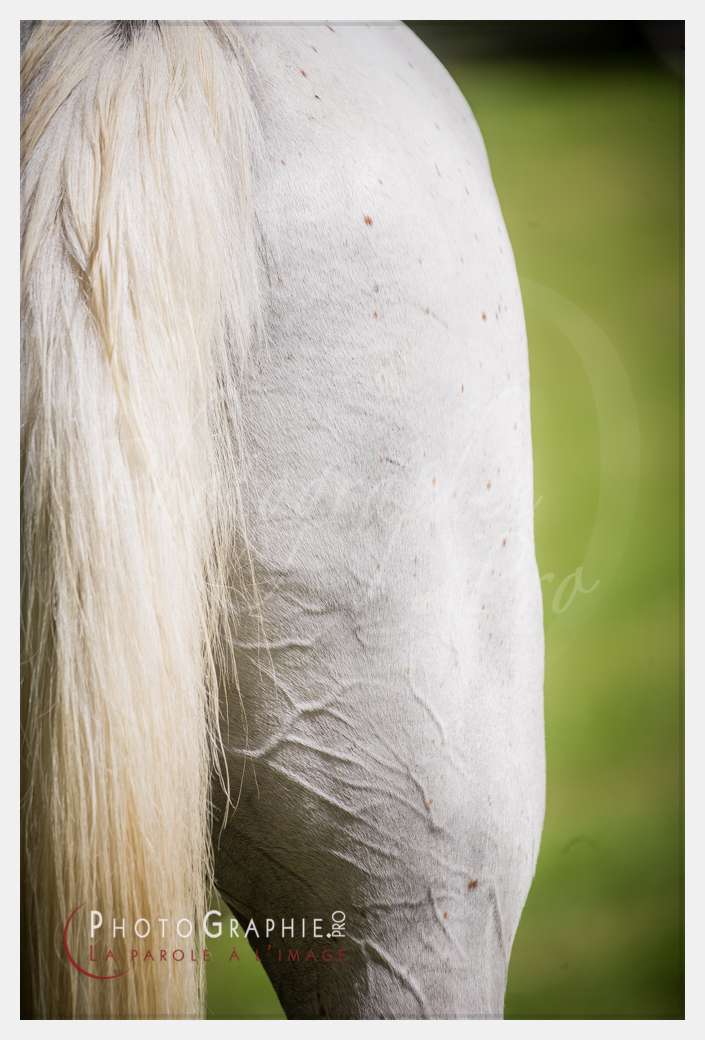 D3s142867 © by Photographie.Pro