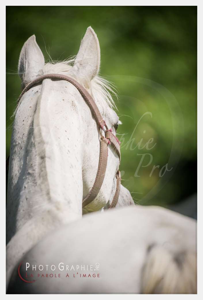 D3s142872 © by Photographie.Pro