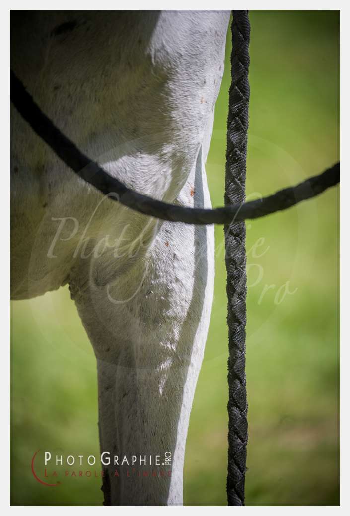 D3s142892 © by Photographie.Pro