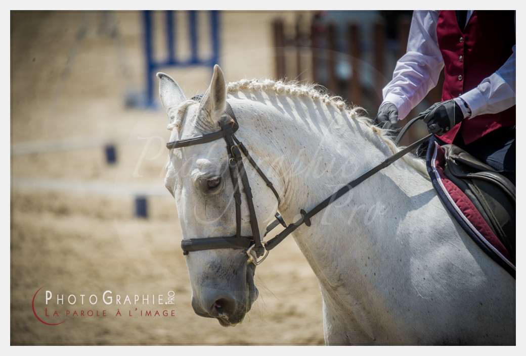 D3s143520 © by Photographie.Pro