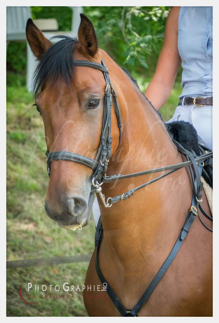 S1025839 © by Photographie.Pro