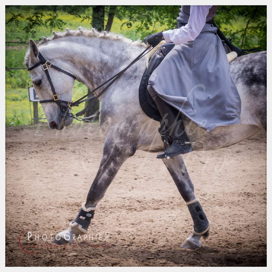 S1026054 © by Photographie.Pro